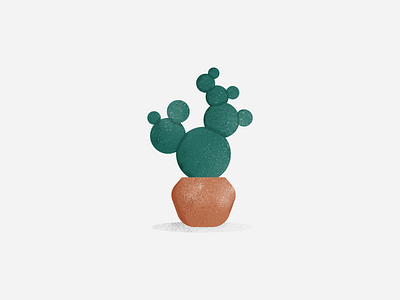 Bunny-Ear Cactus cacti cactus desert grunge illustration plant plant illustration planting pot succulent