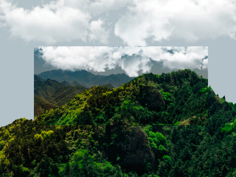 Animation of site pages animation after effects design sites