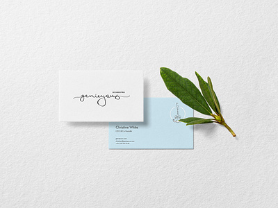 15 Premade Scene accessories branding busines card design hand lettering icon identity illustration lettering logo logo mark design type typography