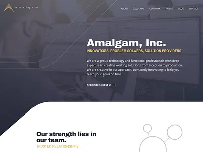 Technology Professionals Website design ui wesbite