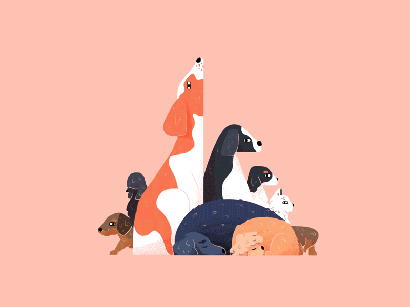🐕🐩 animal animation dogs illustration loop motion photoshop