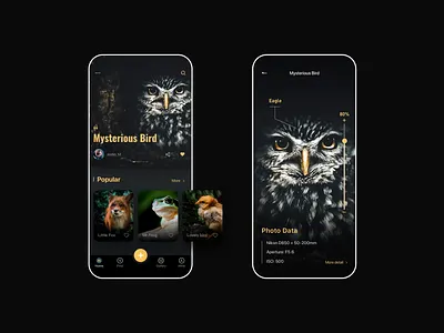 Photogtaphy card image photo ui ux