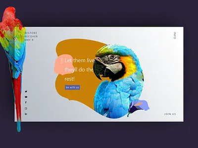 Campaign app branding campaign design creative design flat identity illustration minimal modern type ui uiux ux vector web website