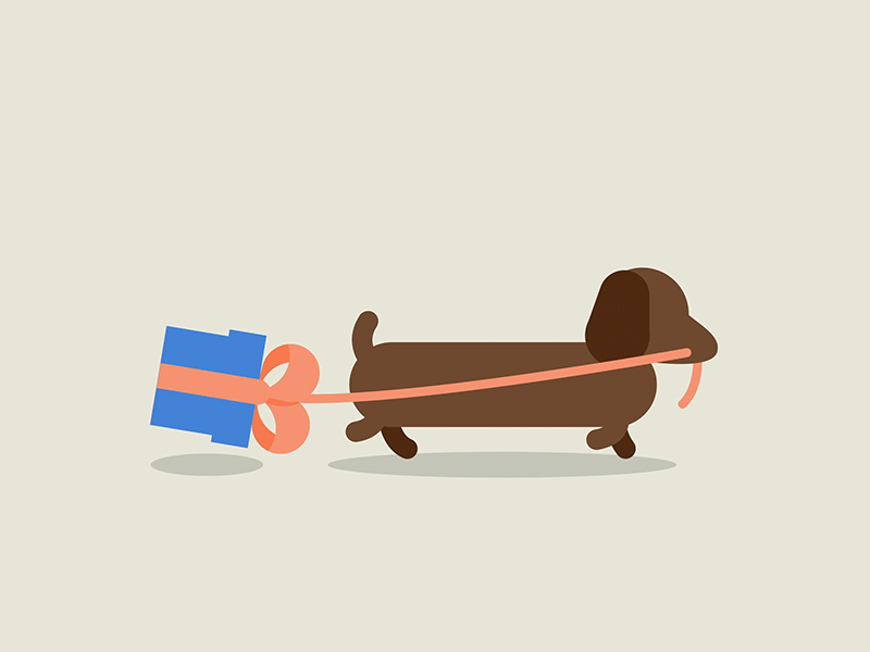 Jack The Birthdaydog aftereffects animal animated animated gif animation dachshund dog dog illustration flatdesign gif illustrator loop animation loopinggif motion motion design motiongraphics vector