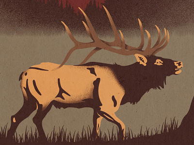 Elk animal art design elk flat grass illustration nature photoshop texture vintage wild