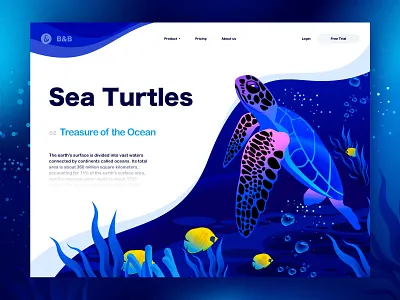 Sea Turtles Illustration animal branding design fishes illustration illustrations landingpage landscape ocean sea sketch timberlake turtles ui vector web