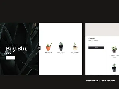 Blue Agave - Free Webflow Ecom template to clone cloneable eccomerce ecommerce design free freebie shop shopping cart slider template webflow