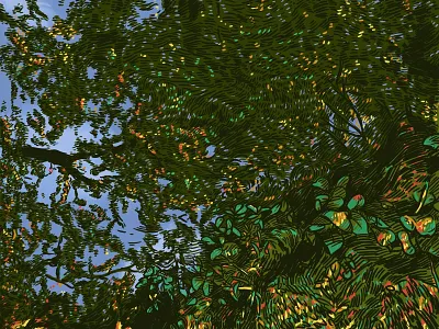 reflected forrest digital illustration digitalart forrest illustration nature nature illustration woolhiser