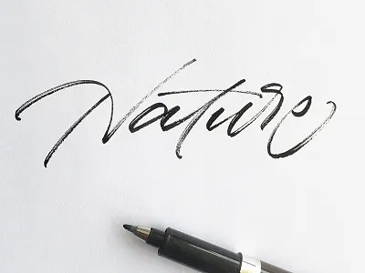 Nature art artist brushpen brushscript calligraphy customtype design graphic design lettering logo logo design logotype signature type typography
