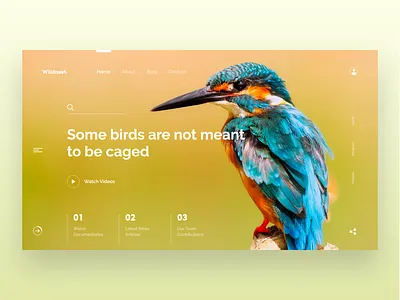 Wildnest Webpage Concept bird blog blog design clean design interaction design landing page logo photography uxui web design website