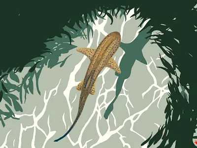 Shark art artwork blue illustration nature shark wild wildlife art