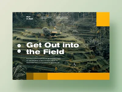 Bali in Bali - Visual Exploration bali figma font forest grid hills jungle landscape layout nature swiss typography ui unsplash ux visual website yellow