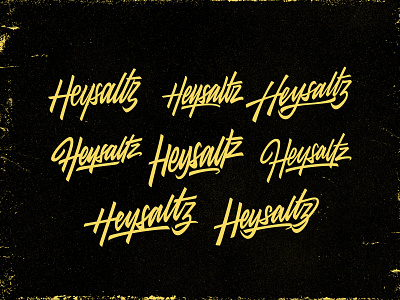 Heysaltz - Logo Option branding design lettering logo type typography vector