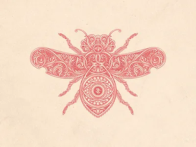 Bee design engraving flourish graphic illustration illustrator jcdesevre retro vector vintage