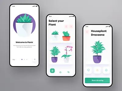 Plantr - Plant Care App agency app business care creative dracaena flat gradient growing ia interface ios mobile modern plant plants typography ui ux