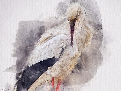 Stork - Watercolor Artist Photoshop Action adobe photoshop art artwork digital painting digitalart free freebie photo effect photoshop action watercolor watercolor art watercolor painting