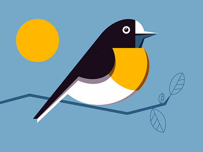 Little Bird 2d 2d flat illustration bird design bird illustration bird logo character character illustration clean design flat geometric illustration simple vector