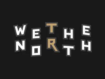 We The North design raptors toronto tshirt we the north