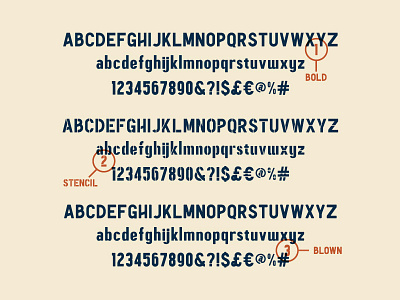Moto Sans - Three Styles font moto moto sans motorcycle san serif sanserif type typeface