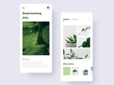 Photo album design app camera gallery green leaf minimal photo picture plant ui unsplash
