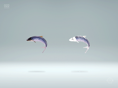 190530_鱼&fish aquatic product fish illustrator seafood 鱼