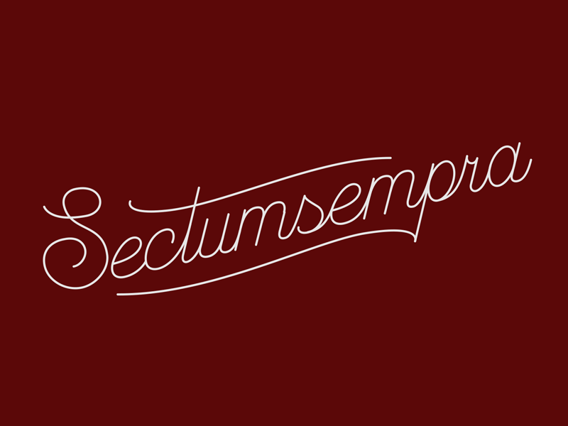 Sectumsempra