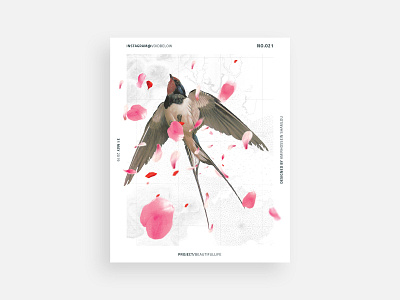 Voidbelow / Swallow adobe bird design illustration inspiration love photoshop pink poster poster a day poster art poster design retro swallow tribute white