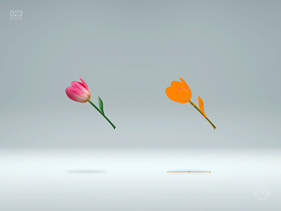 190531_玖瑰&rose flower illustrator rose 玫瑰