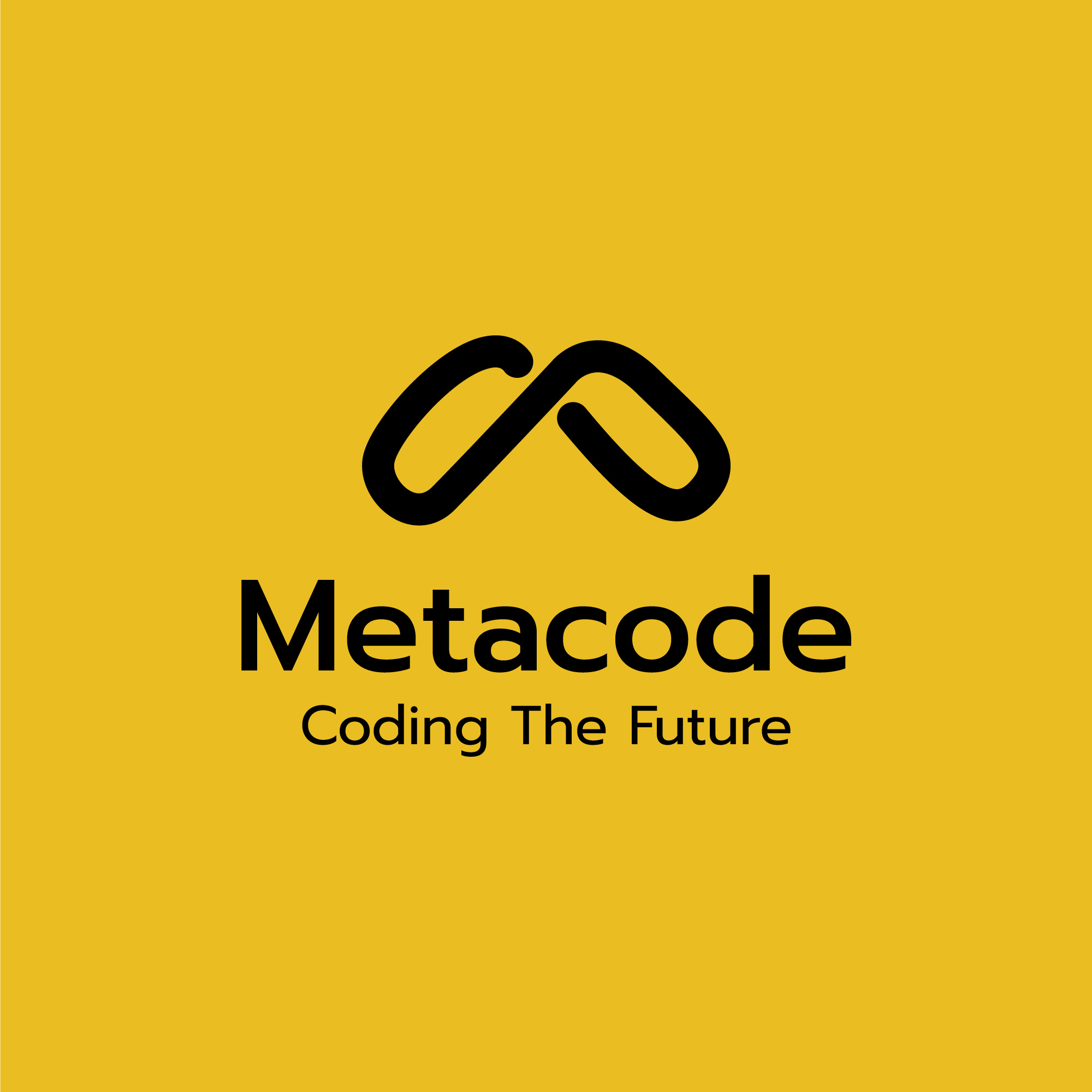 Example of Premium Logo Design