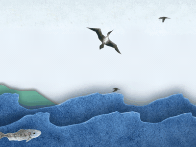 Salmon's Wandering AR book 2d 2d animation 3d aftereffects animation ar augmented reality book eagle gif illustration motion salmon