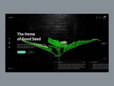 Cannabis Shop Intro cannabis daily design desktop intro webdesign weed