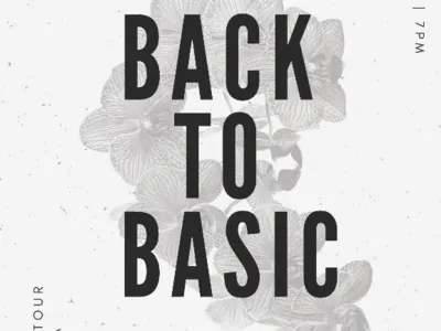 Back to basic poster design booklet color creative design graphic design logo styleframe typography ui user interface ux web ui website website ui wireframe