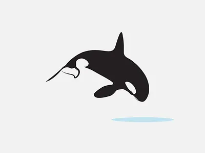 Killer whale 2d art beach black fish illustration killer killer whale logo minimal sea whale
