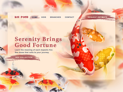 Koi Pond branding dailyui design ui ux web design website