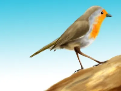 Photoshop painting: sparrow bird sparrow photoshop