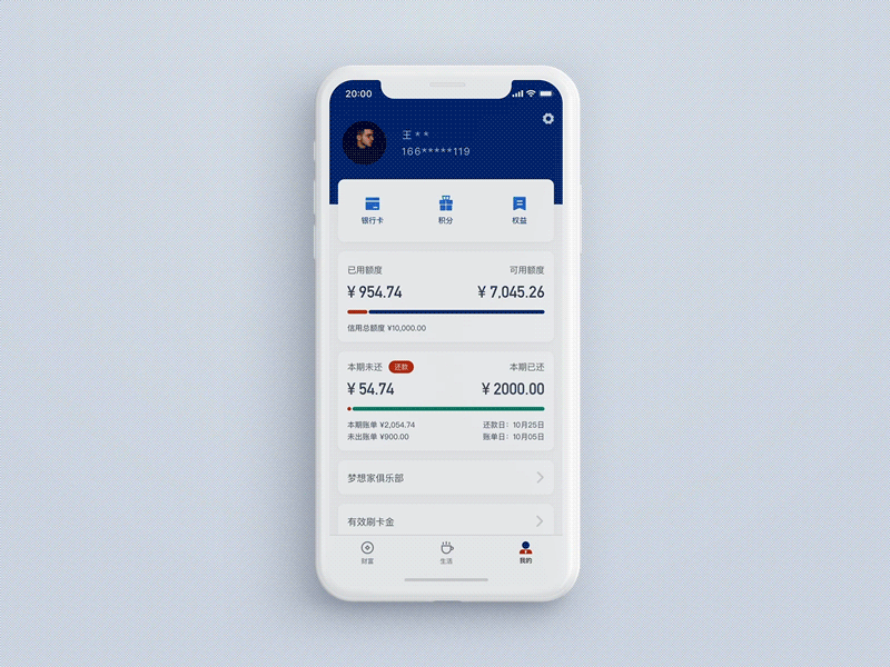 The interaction of credit card payments