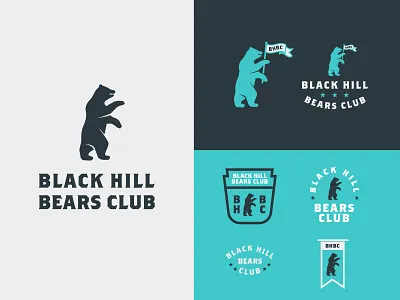 BHBC - Part 2 badge bear brand branding customtype design flag identity illustration jay master design logo monogram package packaging print typography