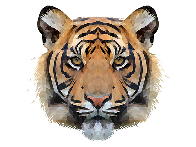 Low Poly Glitch Tiger animal cat design drawing face geometric head illustraion illustration illustrator low poly low poly lowpoly lowpolyart realism tiger triangles vector