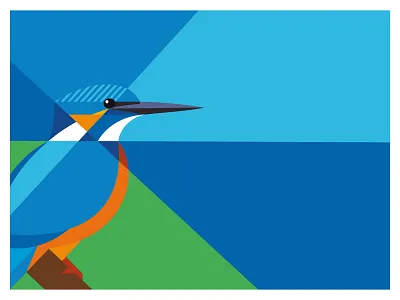 Kingfisher design geometric illustration illustrator vector illustration