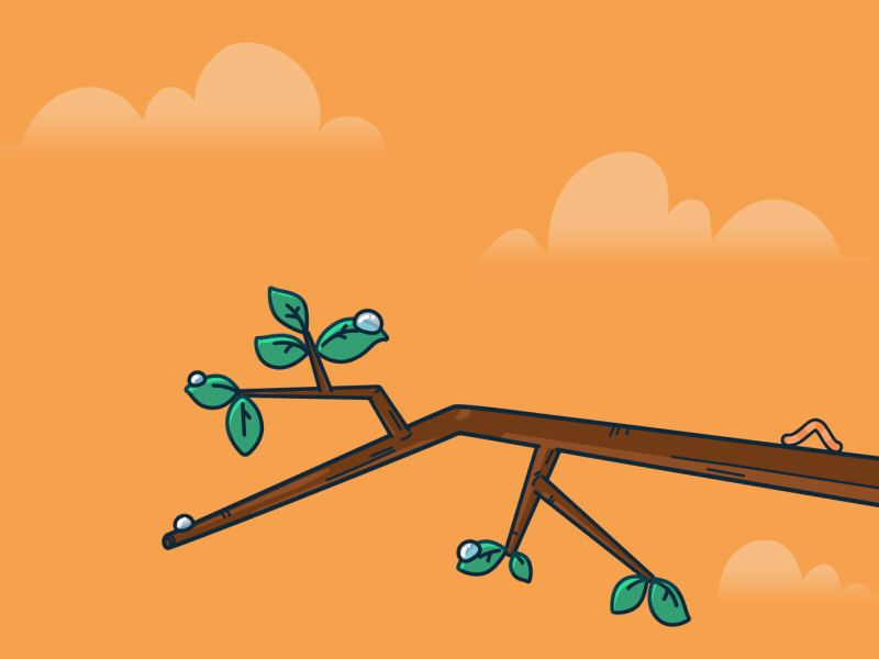 Baby Sparrow baby bird deekay drinking flap sparrow tree wings worm