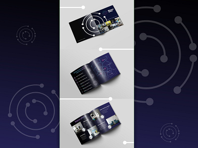 Biznes Zone advertising broshure branding broshure design dtp folder folder design identity