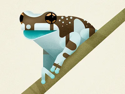 Amazonian Milk Frog amazonia amphibian animal biodiversity frog illustration treefrog vector wild animal