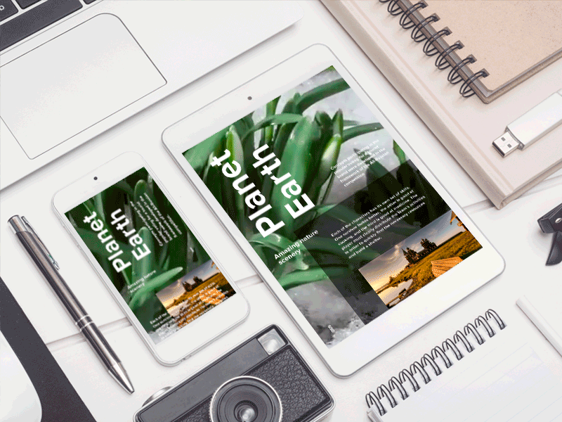 Planet Earth after effect animation app beautiful blue design flat illustration ios lancedaile lettering logo minimal mobile typography ui ux vector web website