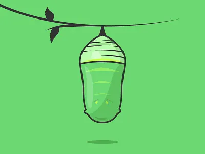 Monarch Cocoon 2d butterfly caterpillar cocoon flat illustration illustrator monarch nature simple vector