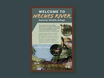 Neches Welcome Panel adventure animals exhibit design experiential design fun interpretive panel kayak layout outdoors page layout pattern welcome wildlife wildlife refuge