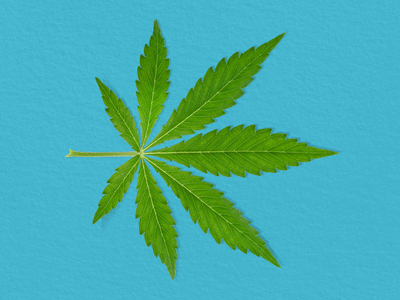 The green gold rush animation cannabis conceptual corporate event nature organic profit stock market