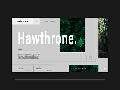 Nature Inn Conceptual web landing page conceptual design designing landingpage nature website touring site travelling site ui ux web webdesign website