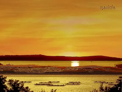 Sunset_Project 4_Summer Dream design digital art digital painting fusion golden graphic art graphic design illustration island landscape mavicfe painting photography photoshop photoshop art reflection sea sky sunlight sunset