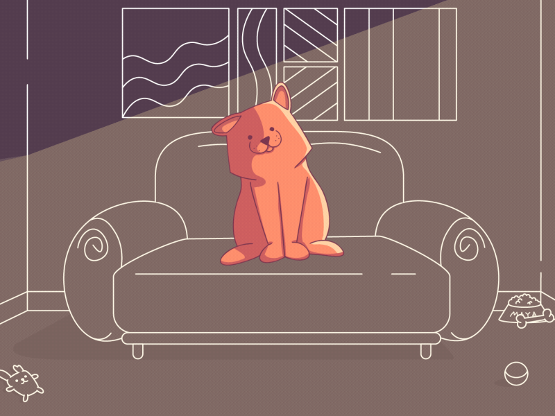 Red Dog 2d animate animation character characteranimation characterdesign classical animation dog funny illustration toonboom traditional animation