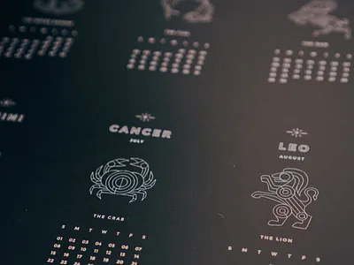 Zodiac illustration linework